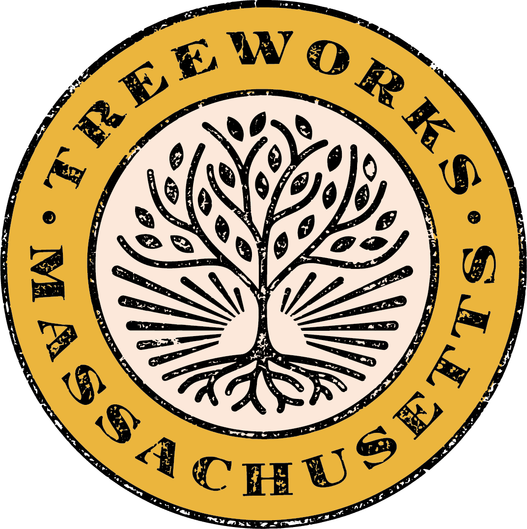 Treeworks: FAQs, Reviews & Where to Buy in Massachusetts