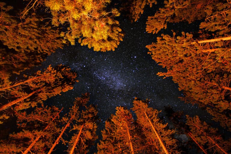 "Framing the Universe": Photo by Colton Stiffler Photography
